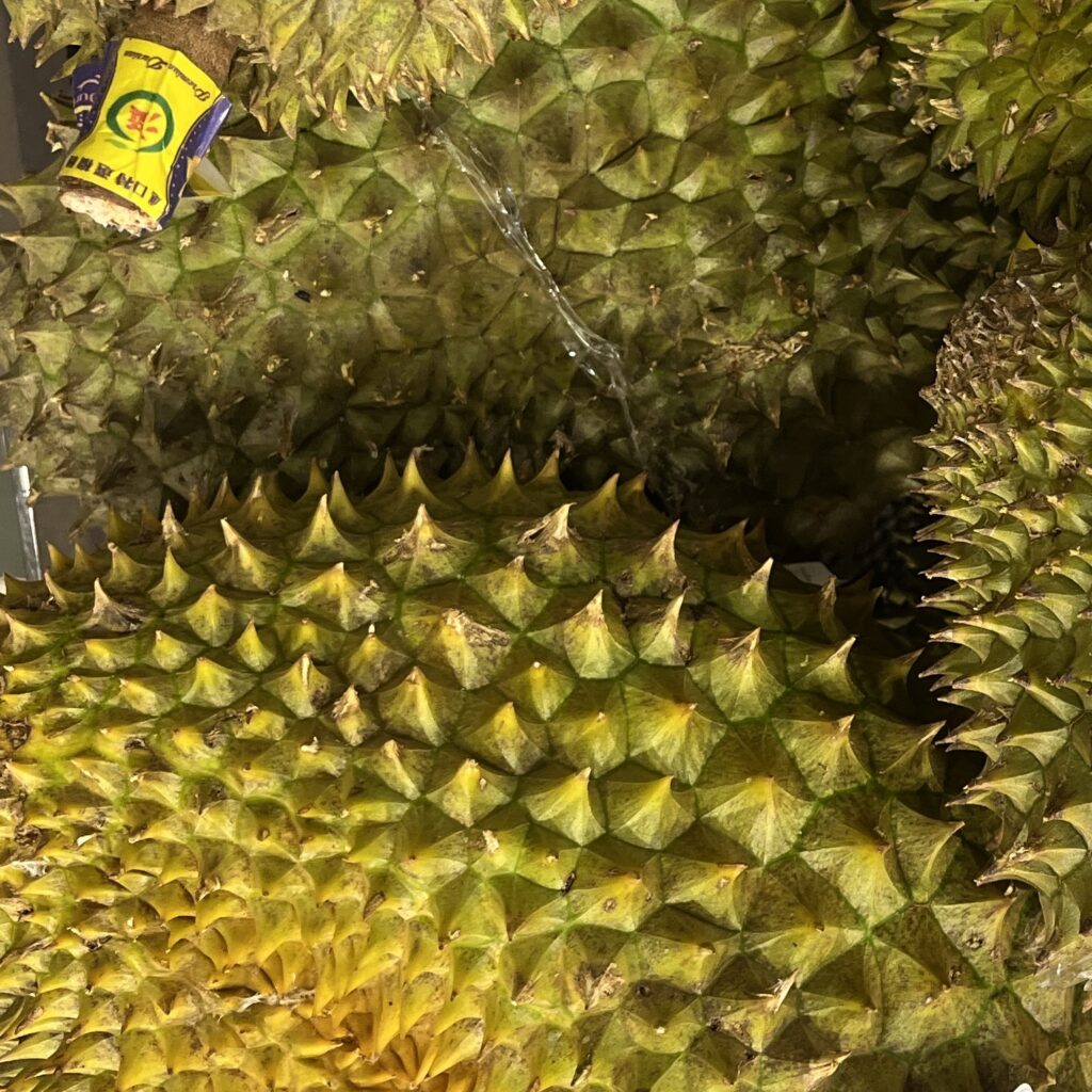 easting durian in Thailand