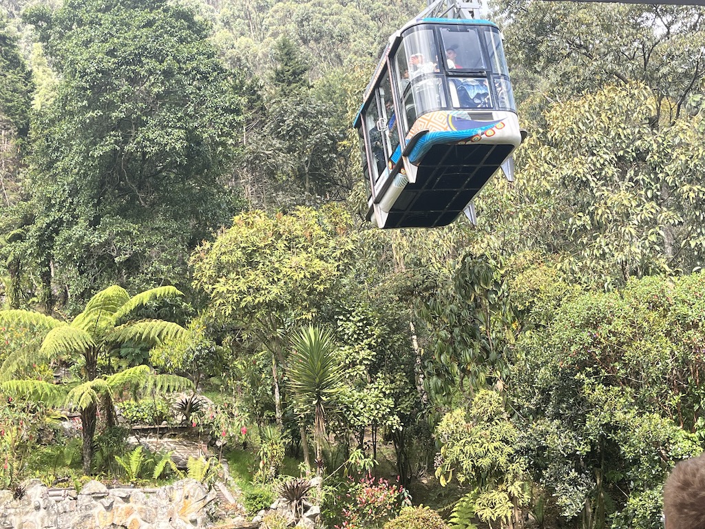 Bogota