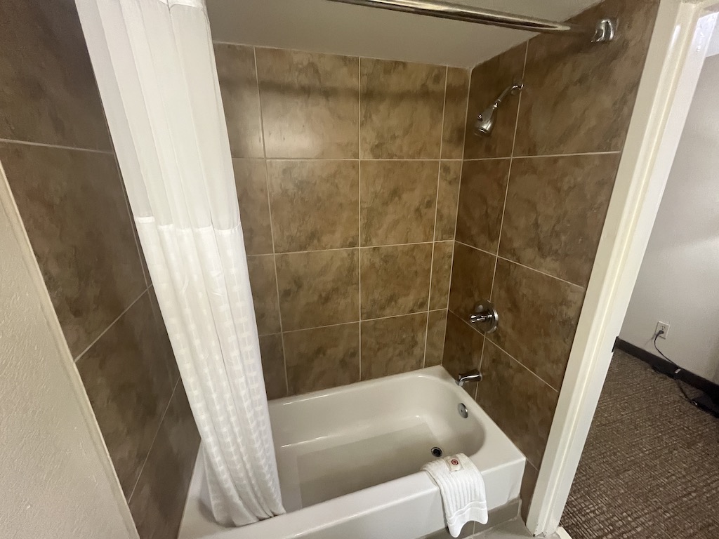 bedbug hotel