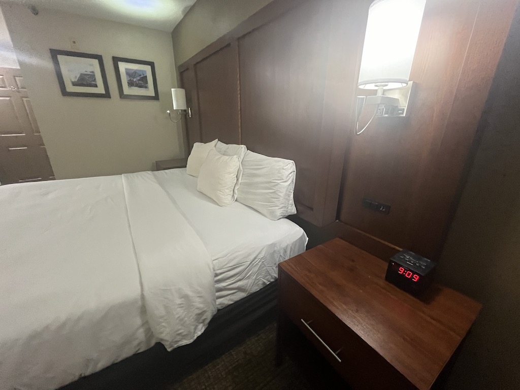 bedbug hotel