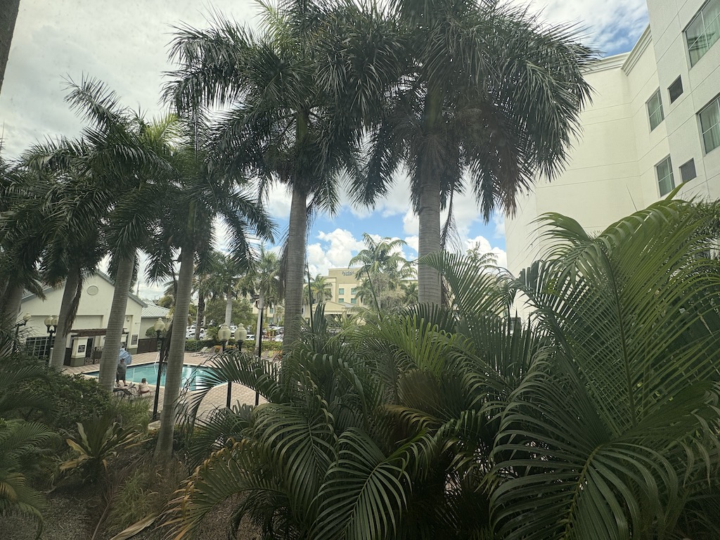 View from second floor room.
