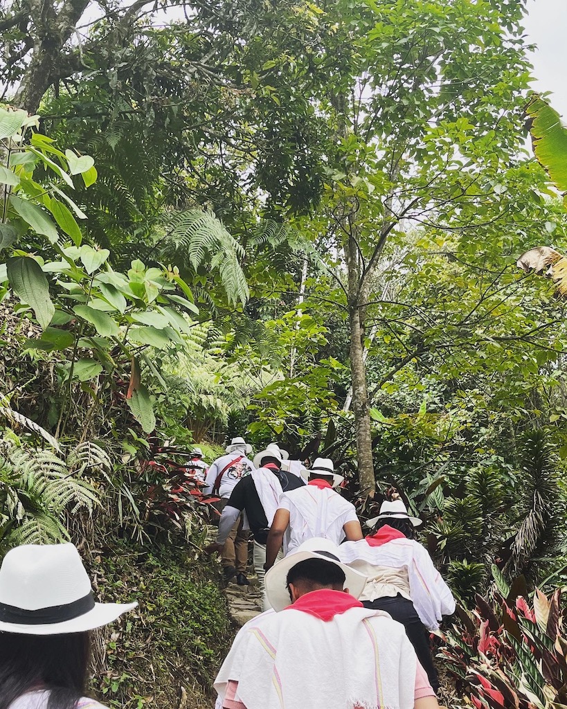 Medellín coffee tour