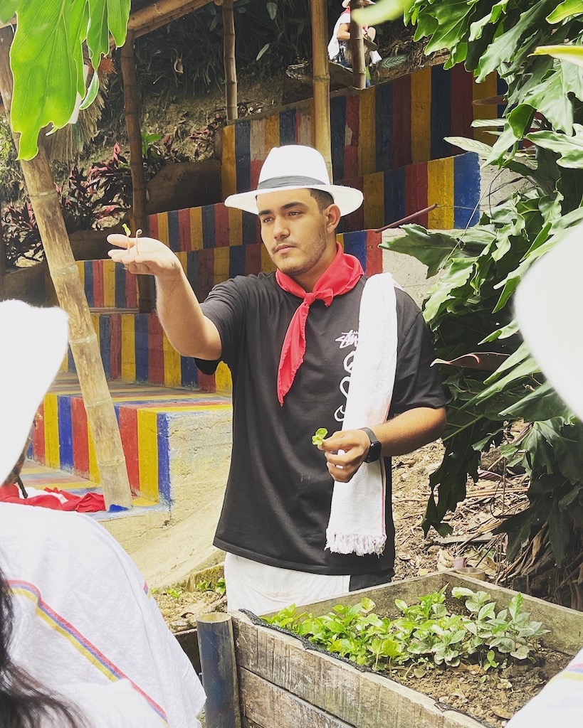 Medellín coffee tour
