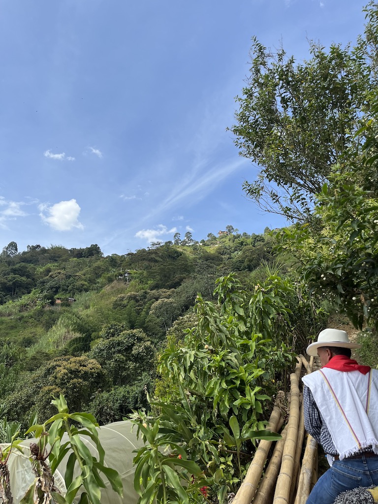 Medellín coffee tour